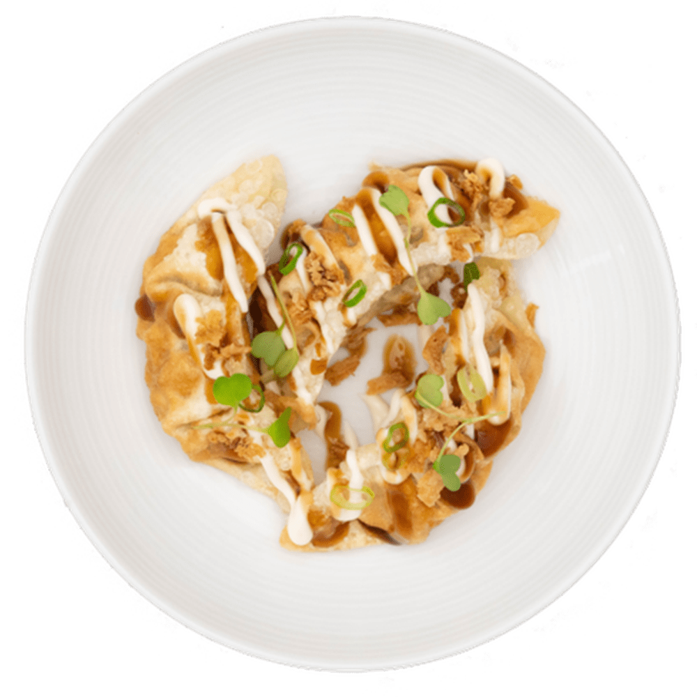 mega teriyaki gyoza chicken