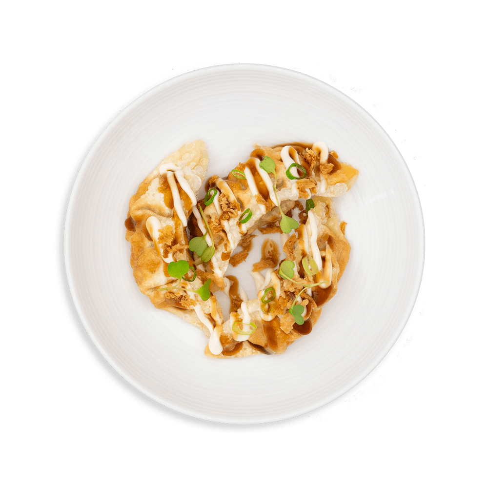 mega teriyaki gyoza chicken