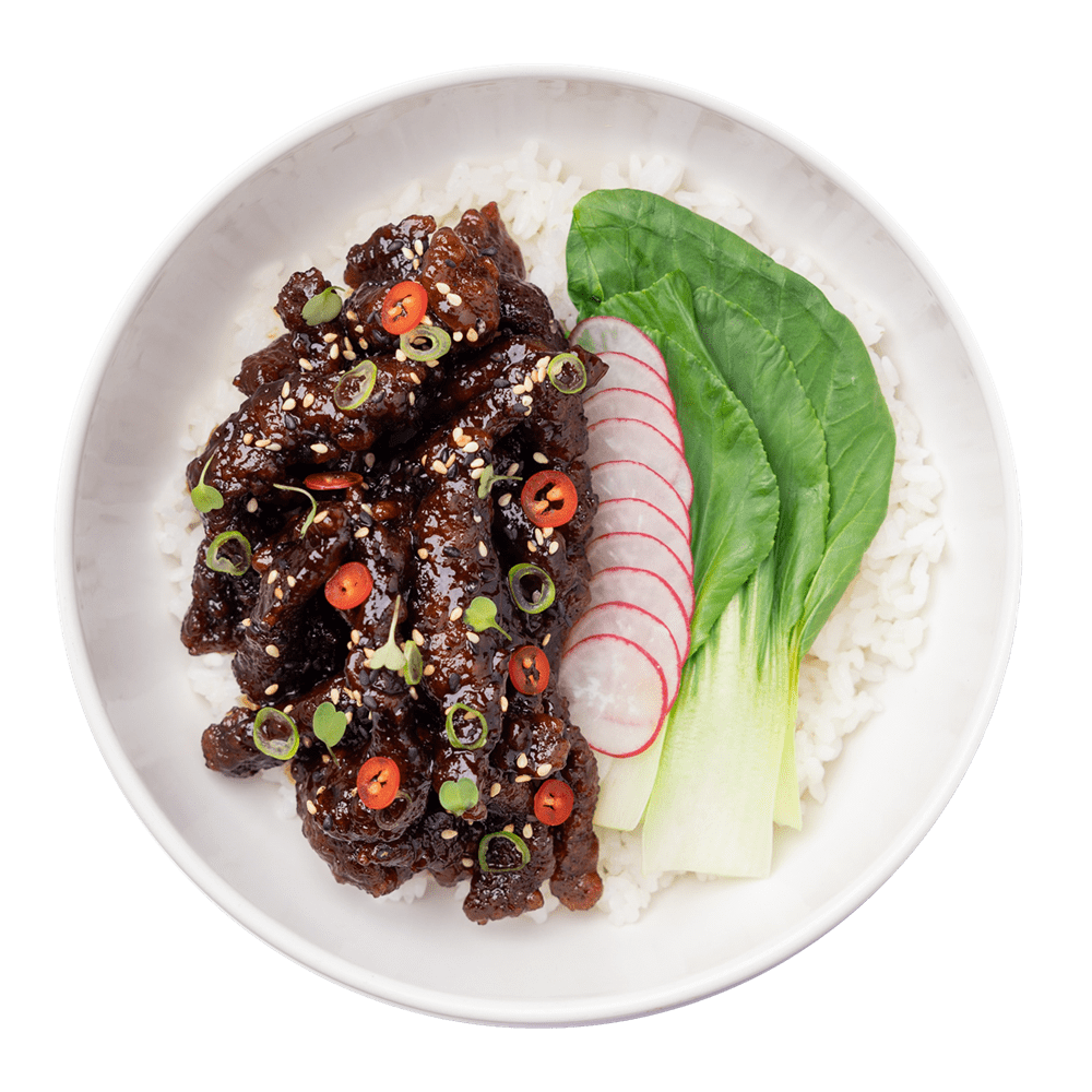 beef teriyaki donburi