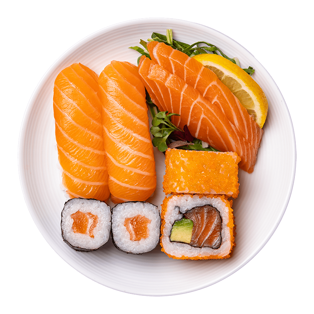 salmon top hits