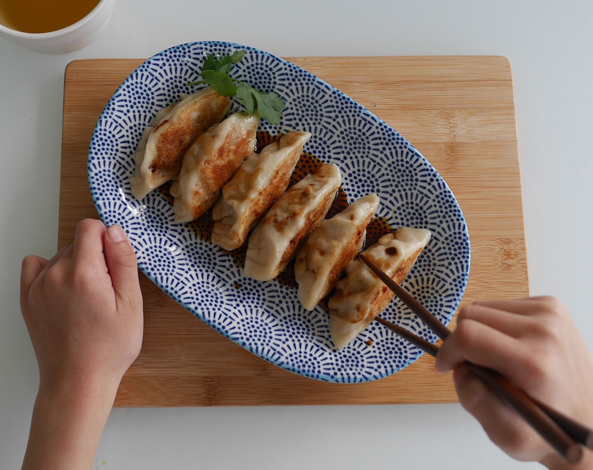 Gyoza recipe