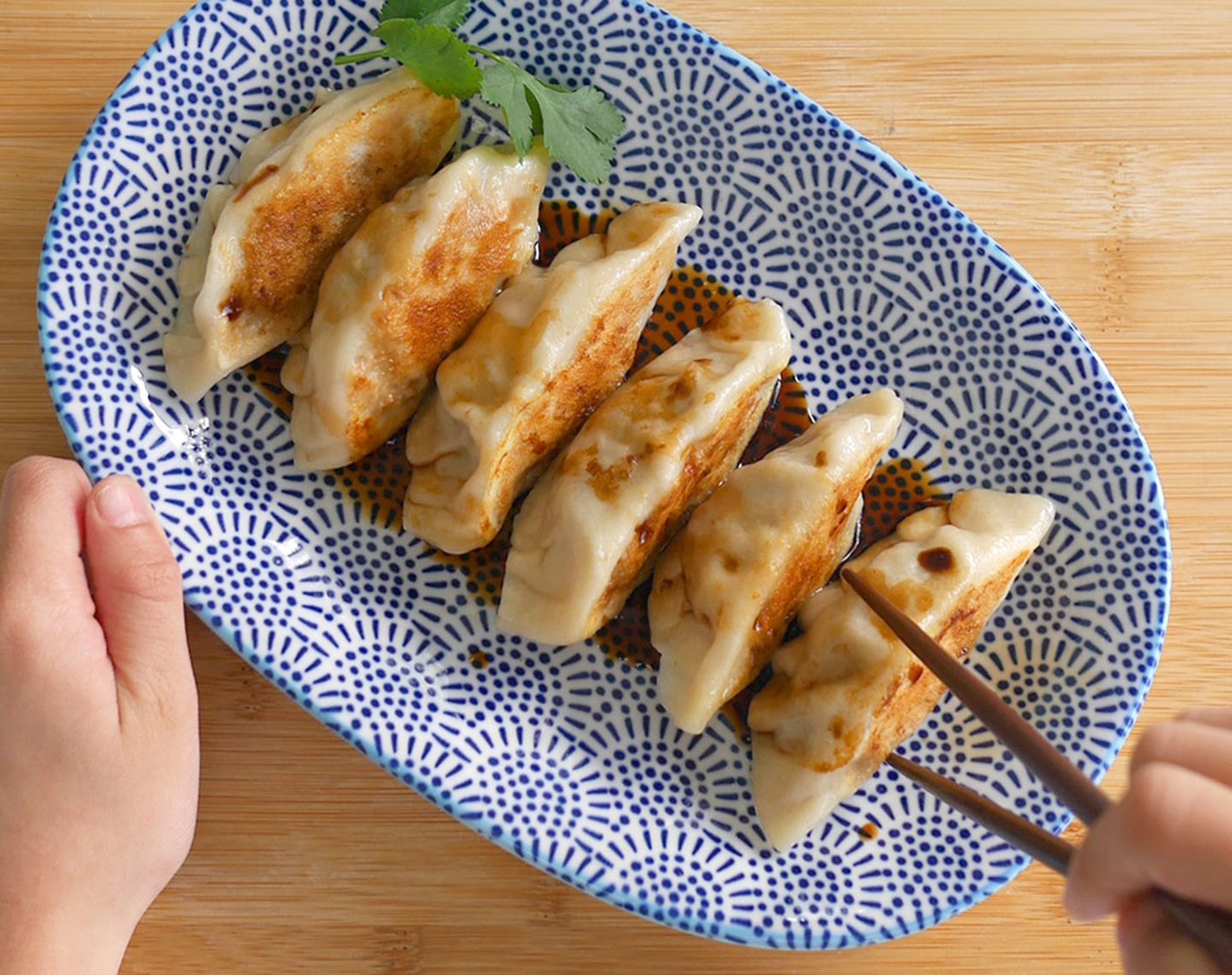 Gyoza recipe