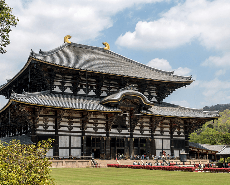 win a trip to japan